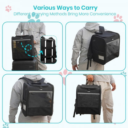 PTD2640 - Dogat Foldable And Durable Pet Backpack Carrier Travel Bag for Cats and Small Dogs - Black
